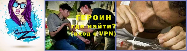 сатива Беломорск
