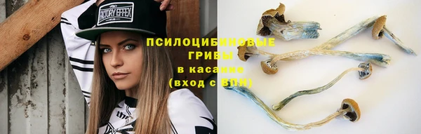 ALPHA PVP Богданович