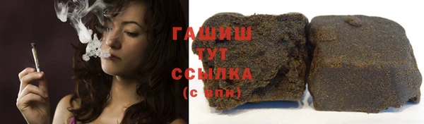 сатива Беломорск
