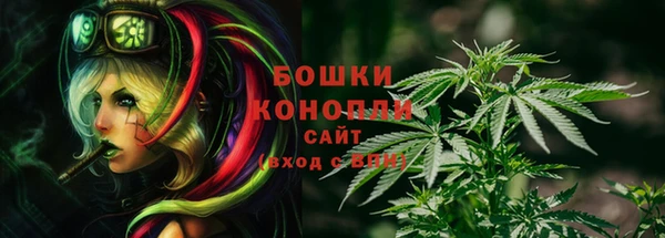сатива Беломорск